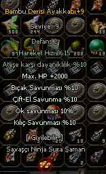 40 kemik + 2000 HP Ayakkabı