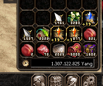 1.3 T YANG + GÖRSELDEKİ HER ŞEY