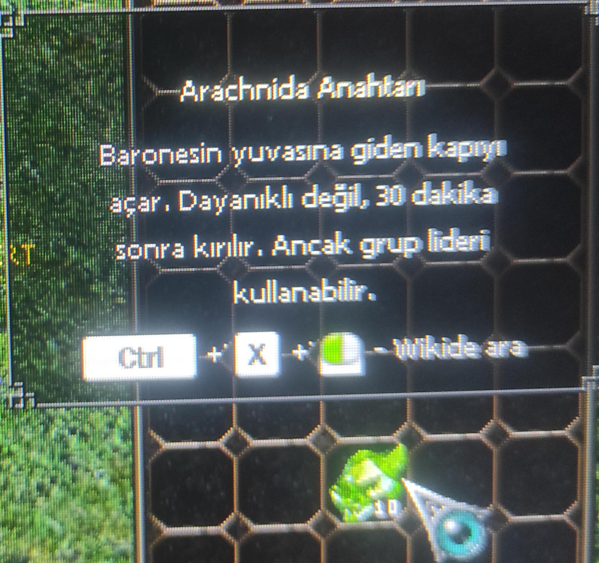 10 Adet Arachnida Anahtarı Hemen Teslim