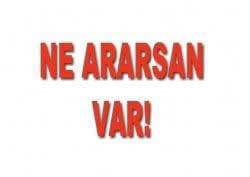 BİLGELİK - HİLAL Y. - LOLİ - PASİF BKLAR - YANG SATILIR !