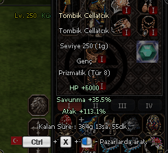 113.3 STR EFSANE PET 2X HASAR DİREK TESLİM.