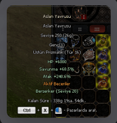 ELIT ASLAN HO