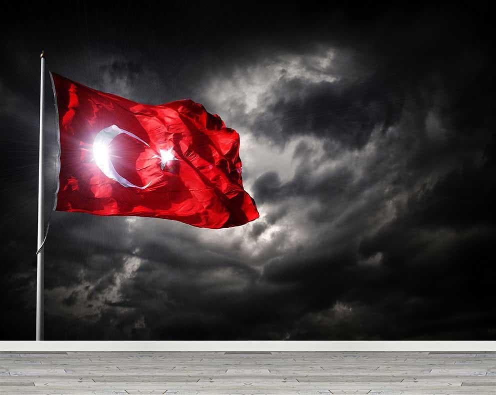 AT MADALYONU 11 ADET(HIZLI TESLİMAT)