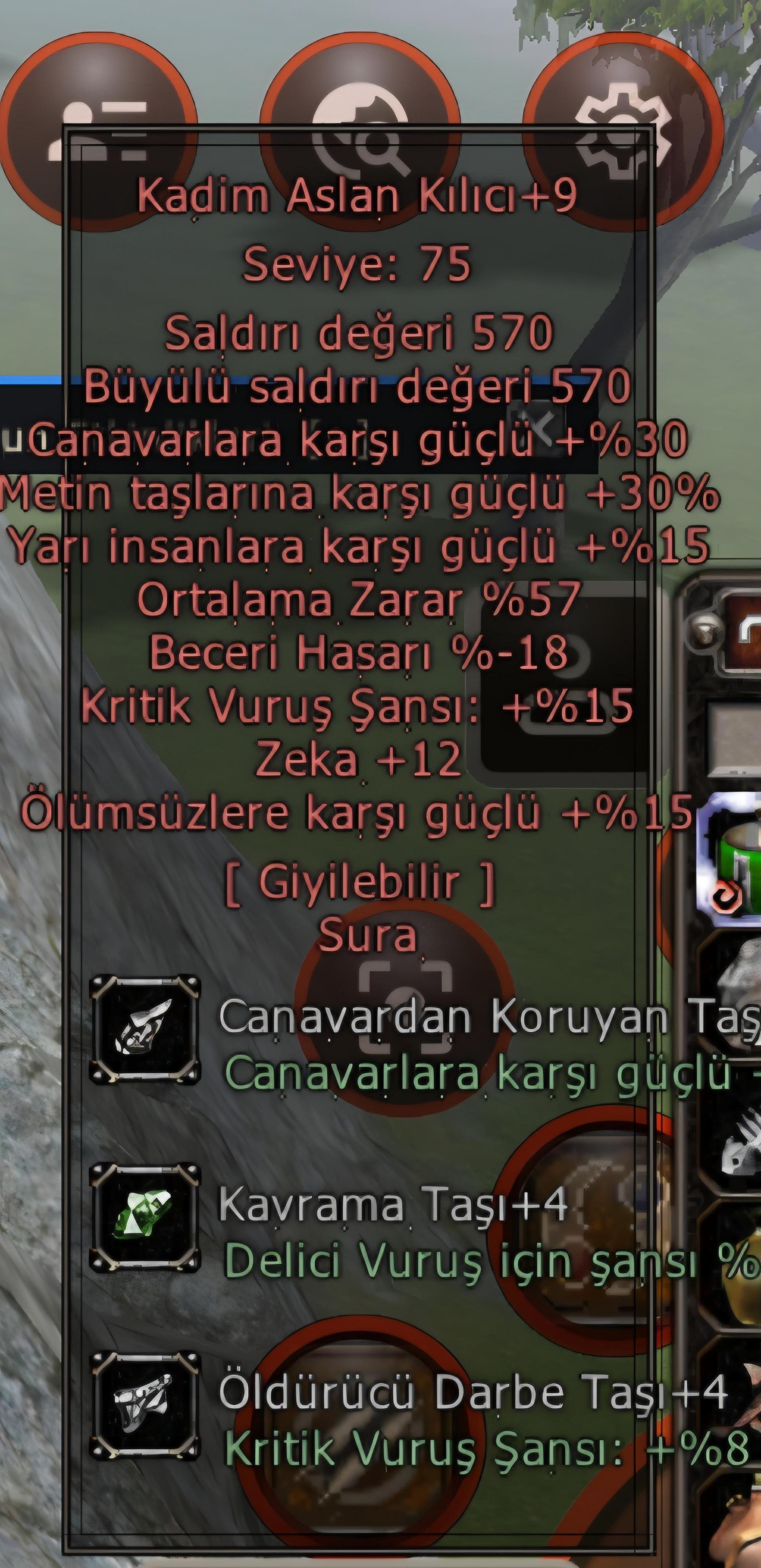 KADİM ASLAN +9 9İYASA ALTINA