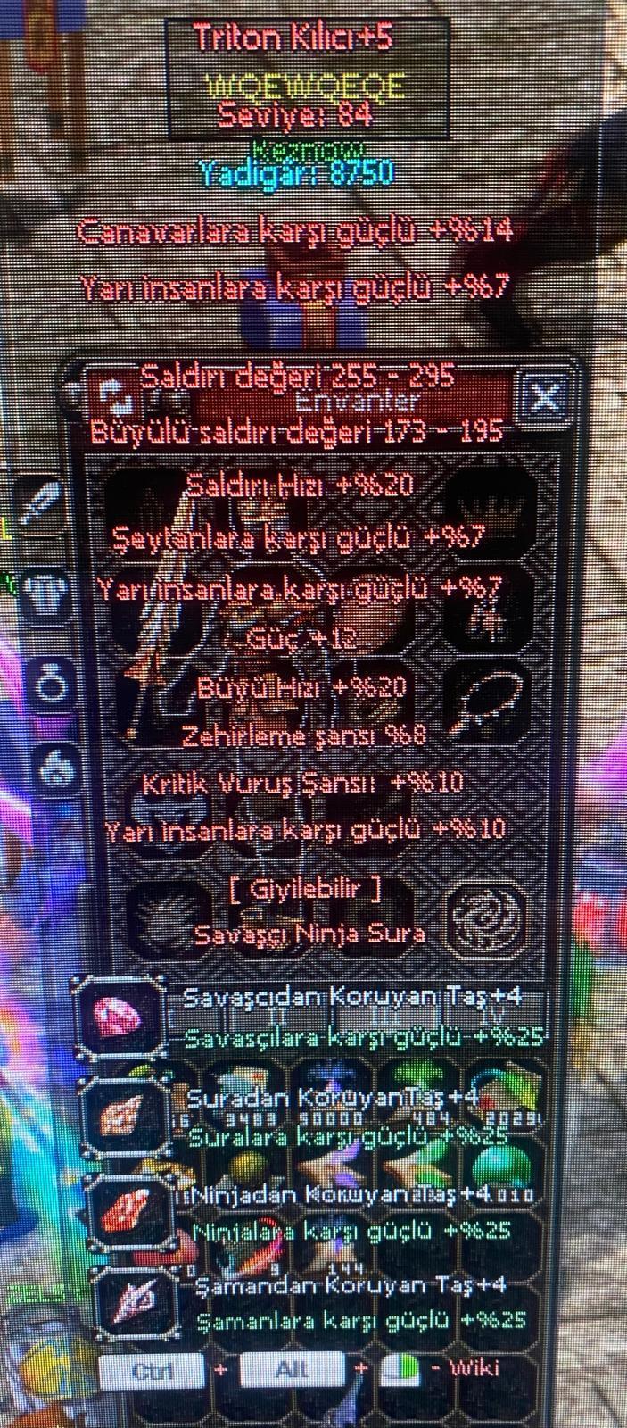 SVDE TEK 5.5 KIRKSIZ ELİT TRİTON  ELİTTTT FUL EVRIM
