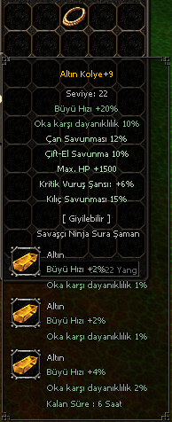 altın kolye +9
