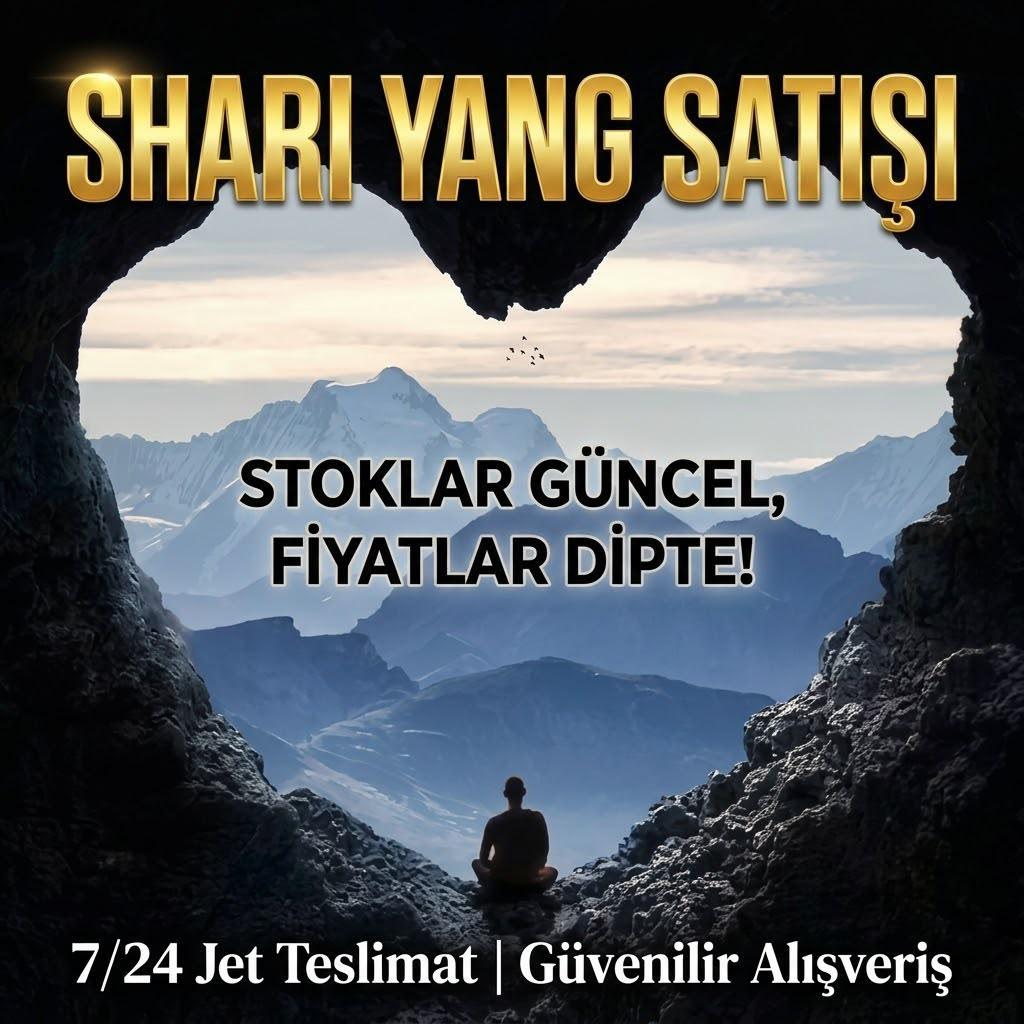 350 M YANG 875 TL 2.5DAN HEMEN TESLİM
