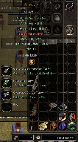 KİN KILICI +9 SÜRESİZ PET YÜZÜKLER