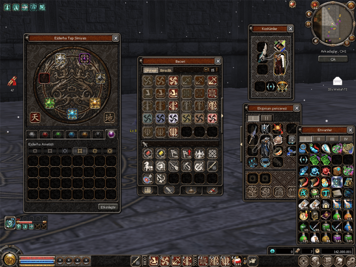SAMPIYON LV 11 SAVASCI ZIHINSEL