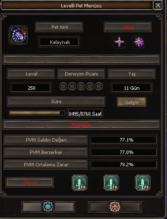 250 lvl hazır kasılı pet