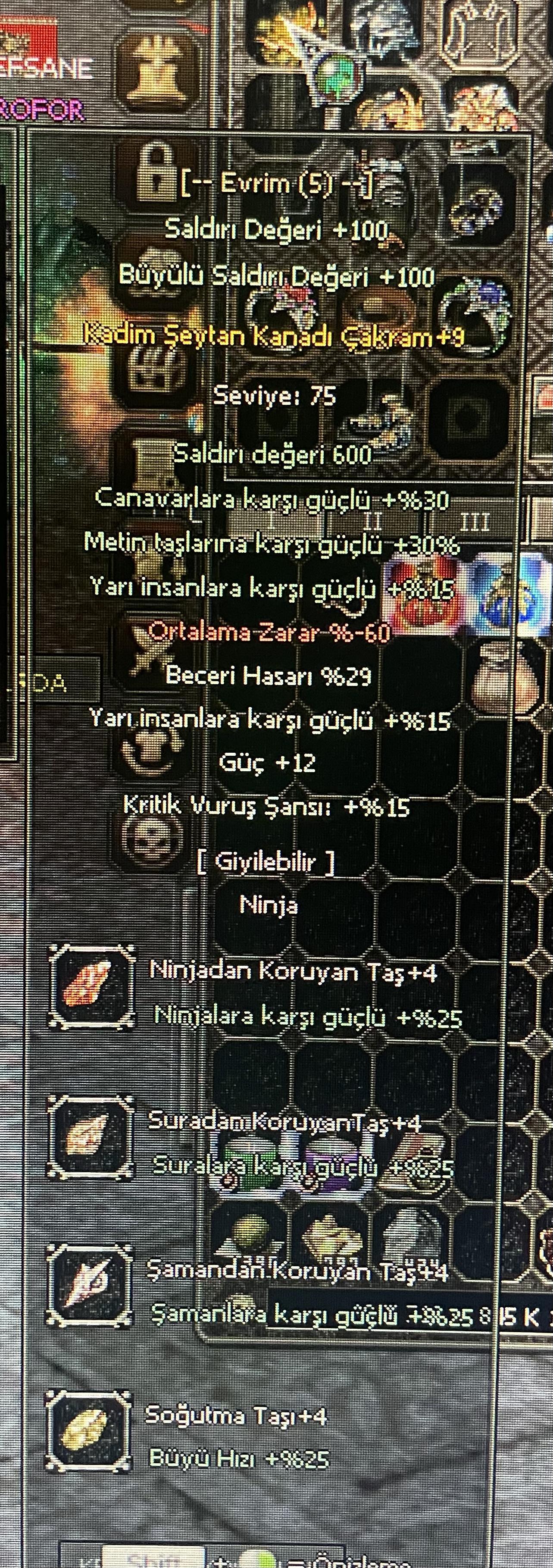 29 beceri cakram
