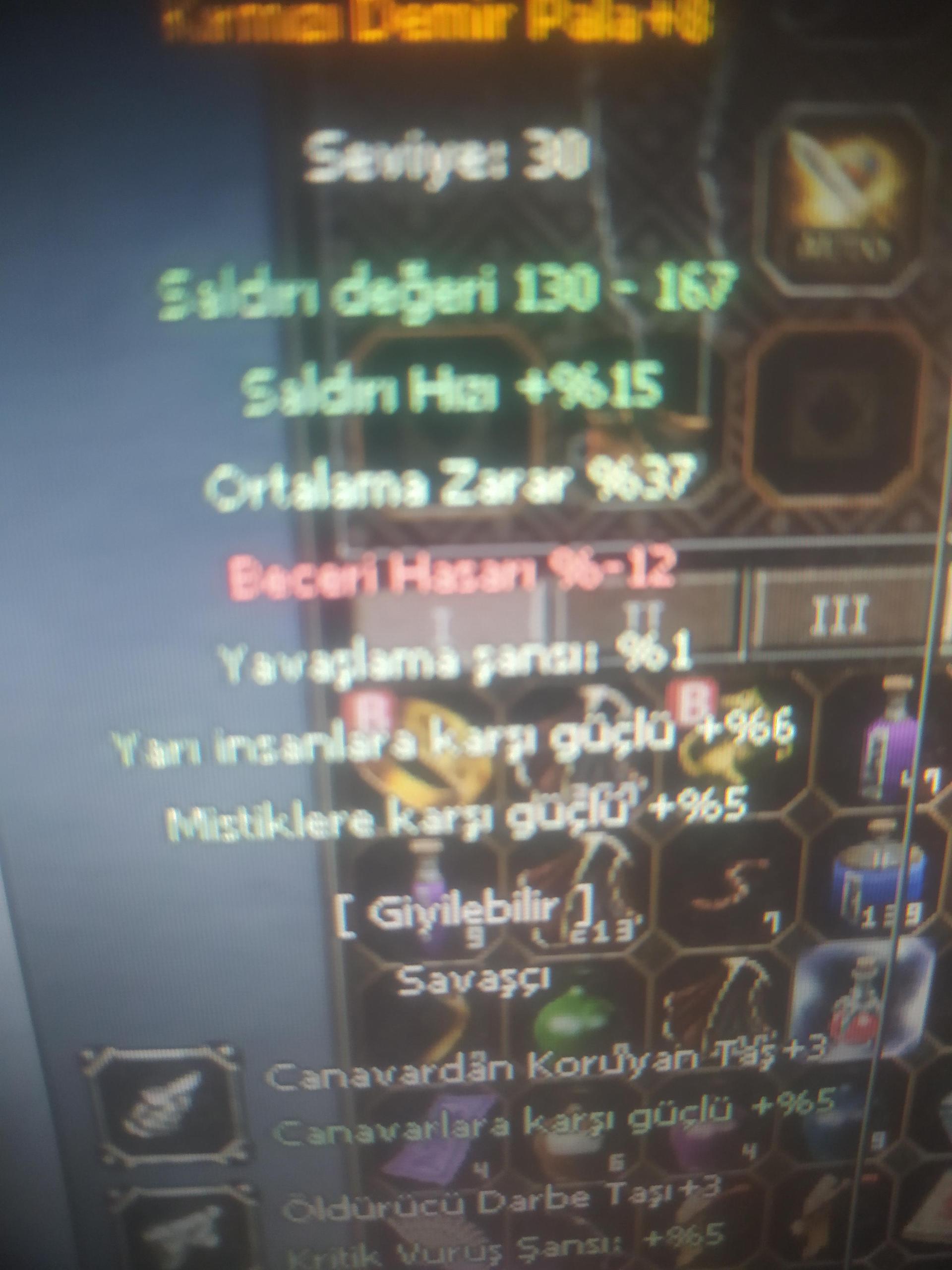 55 bedo