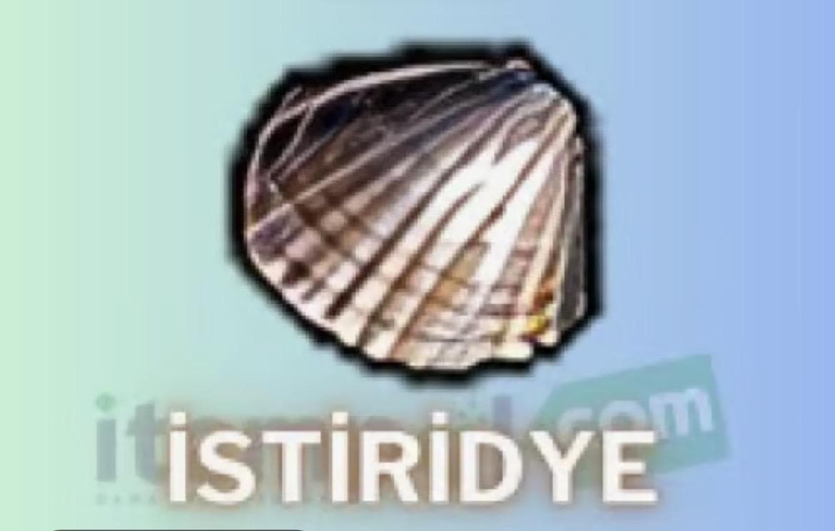 25M 25TLDEN SİTENİN EN UCUZU GİR BAK ARAŞTIR