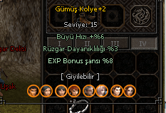 Gümüş Kolye +2 HIZLI TESLİMAT FARM DESTEK