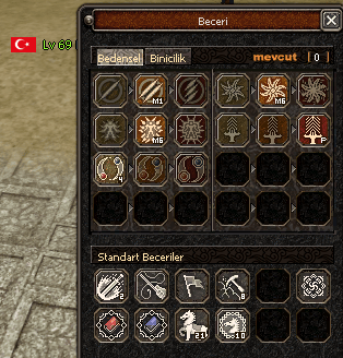 69LV HAVA P BİO BUZ TOPU BİTİK