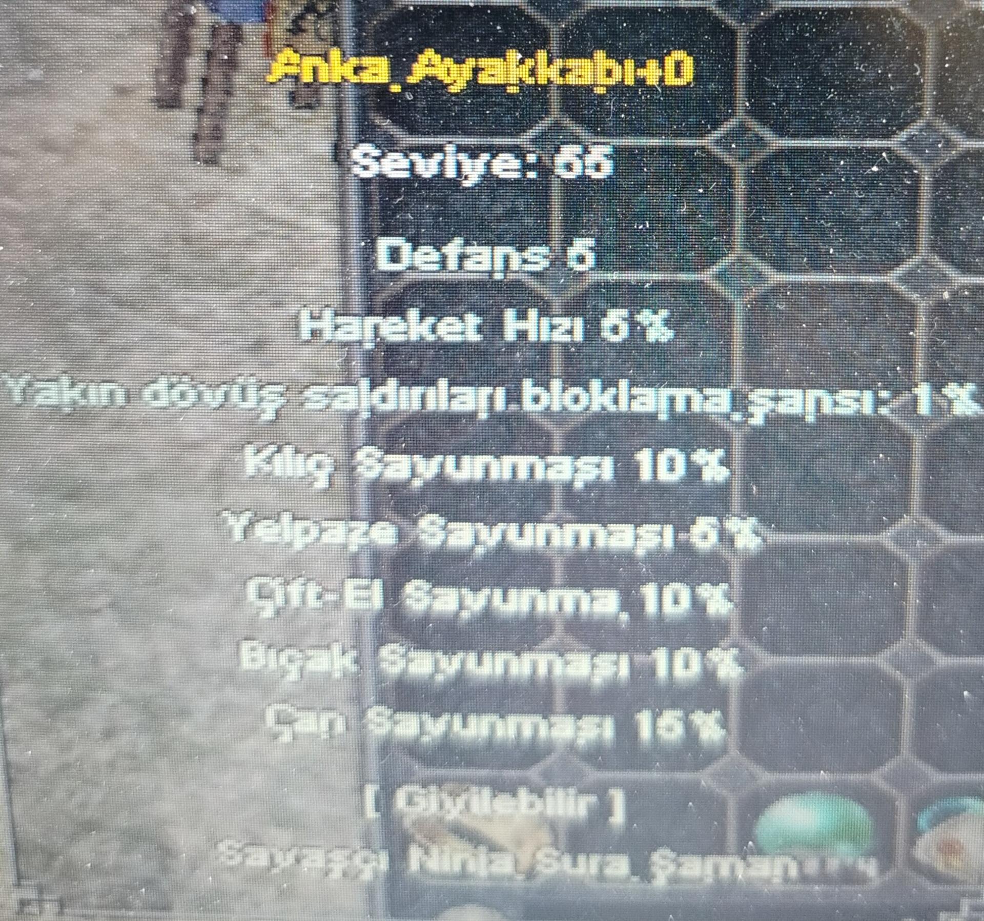 Anka ayakkabı 4 10