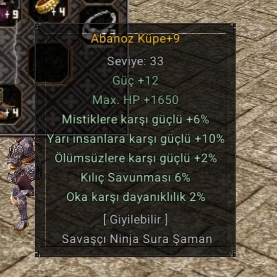 +9 ABO 10 YARILI