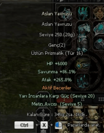 265 ATAKLI ELİT ASLAN