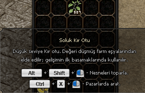 907 ADET SOLUK KIR SATILIR
