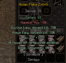 +5 ASLAN 1K HP 15 BÜYÜ 10 ATEŞ