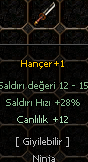 1 LEVEL +1 TEK EFSUN HANÇER