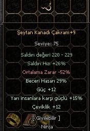 29 YARI GÜÇ ÇEVİKLİK ELİT ÇAKRAM
