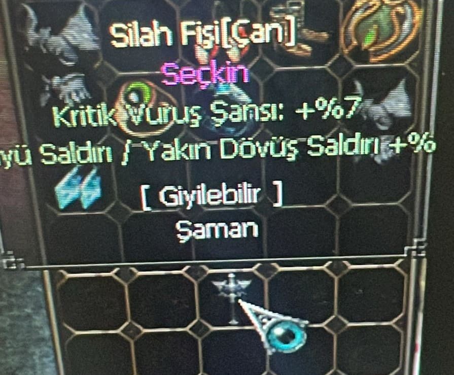 SEÇKİN ÇAN FİŞ
