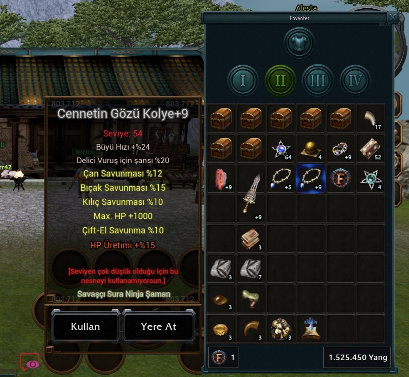 Cennet kolye uygun
