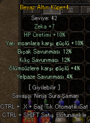 WSLİK ELİT BEYAZ ALTIN KÜPE