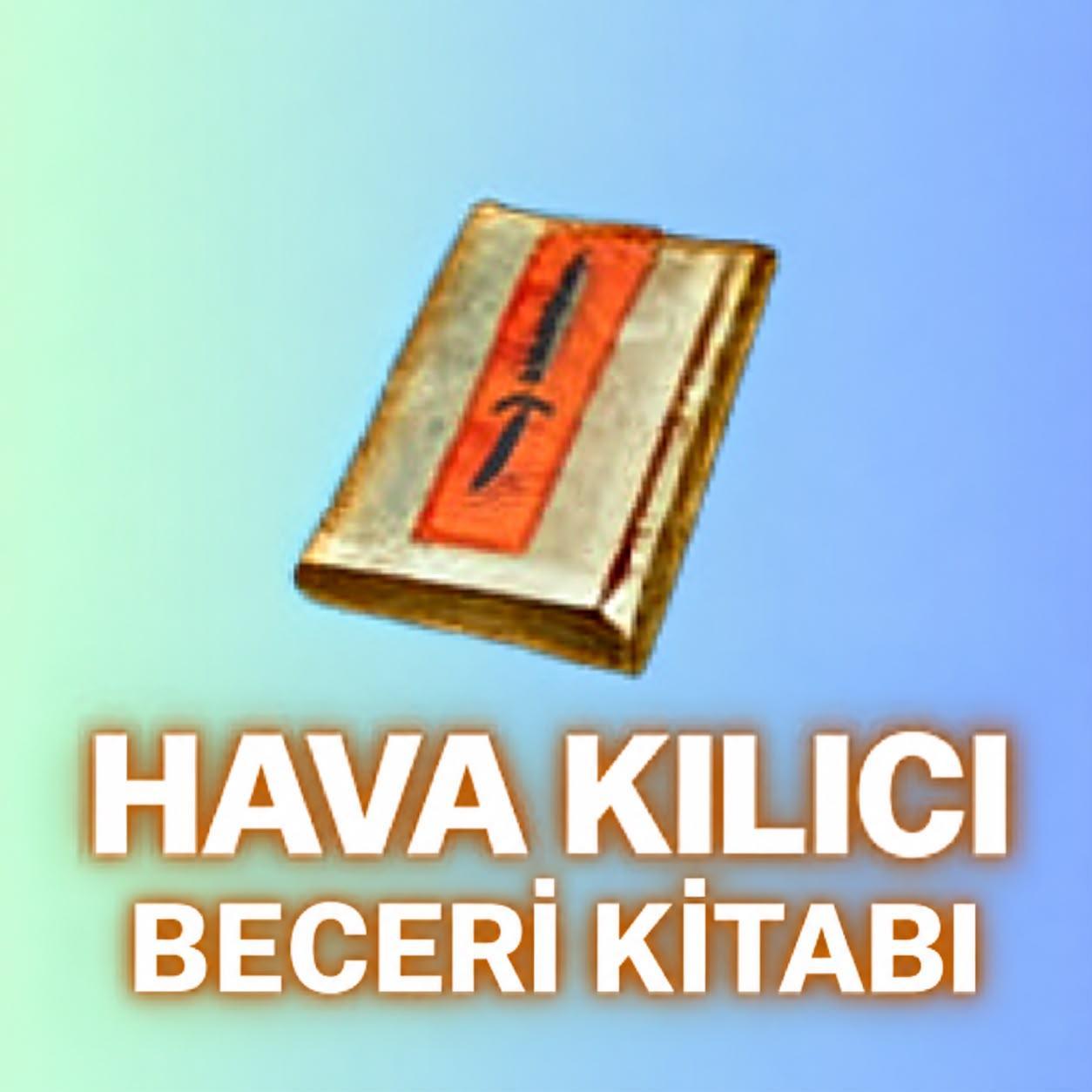 170 ADET HAVA BK ALINIR