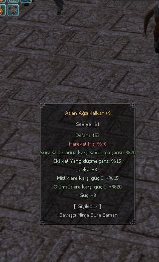 +9 ASLAN AĞZI V2