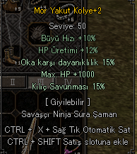 15 kılıç 15 ok 1 k hp 3 efsun kolye