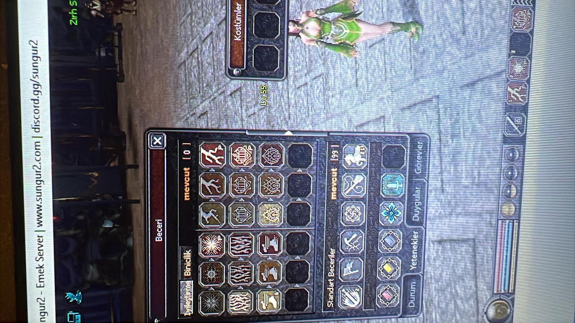 55 lvl 3p iyileştirmeci
