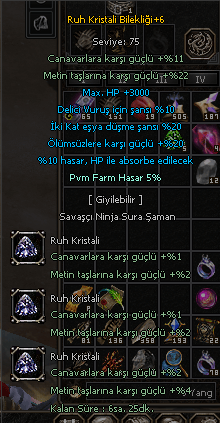 +6 Ruh Kristali Bilekliği