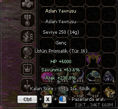 TİP 16 238.8 STR ASLAN