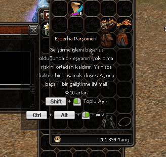Ejderha Parşömeni 8x