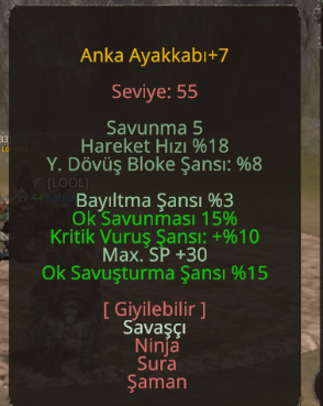 ELİT SÜRGÜNLÜK ANKA AYAKKABI