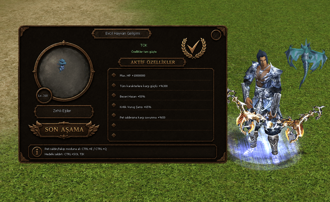 +20 YAY+ALASTOR+KASK - 310 LWL PET WS'LİK KURULU LONCALIK NİNJA OKÇU
