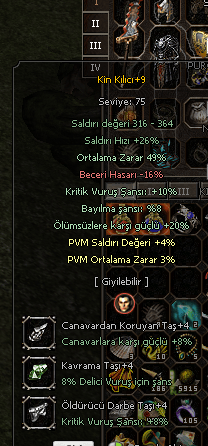 +9 KİN 49 ORT 4-3 PVM