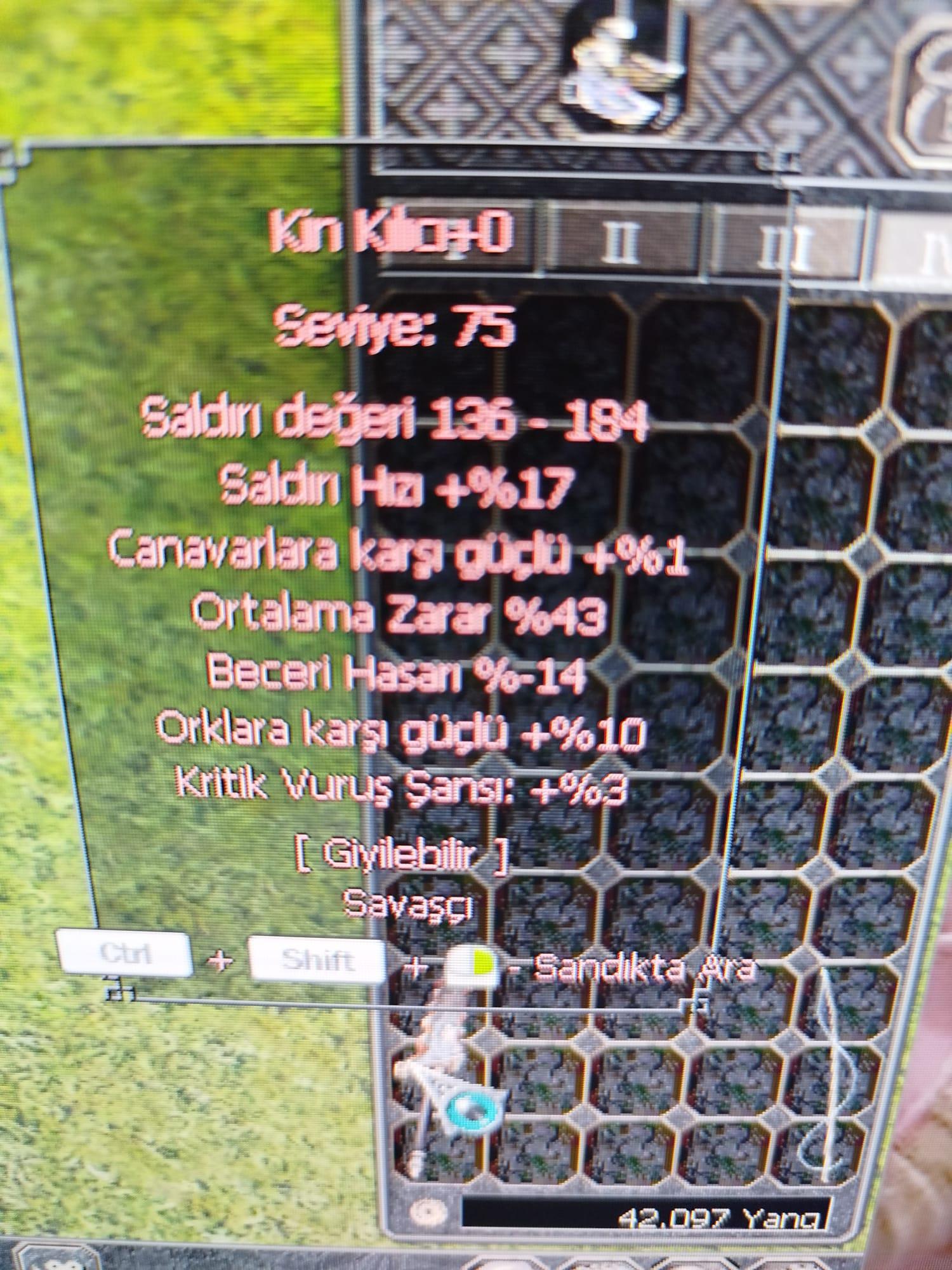 43 ORT KİN KILICI