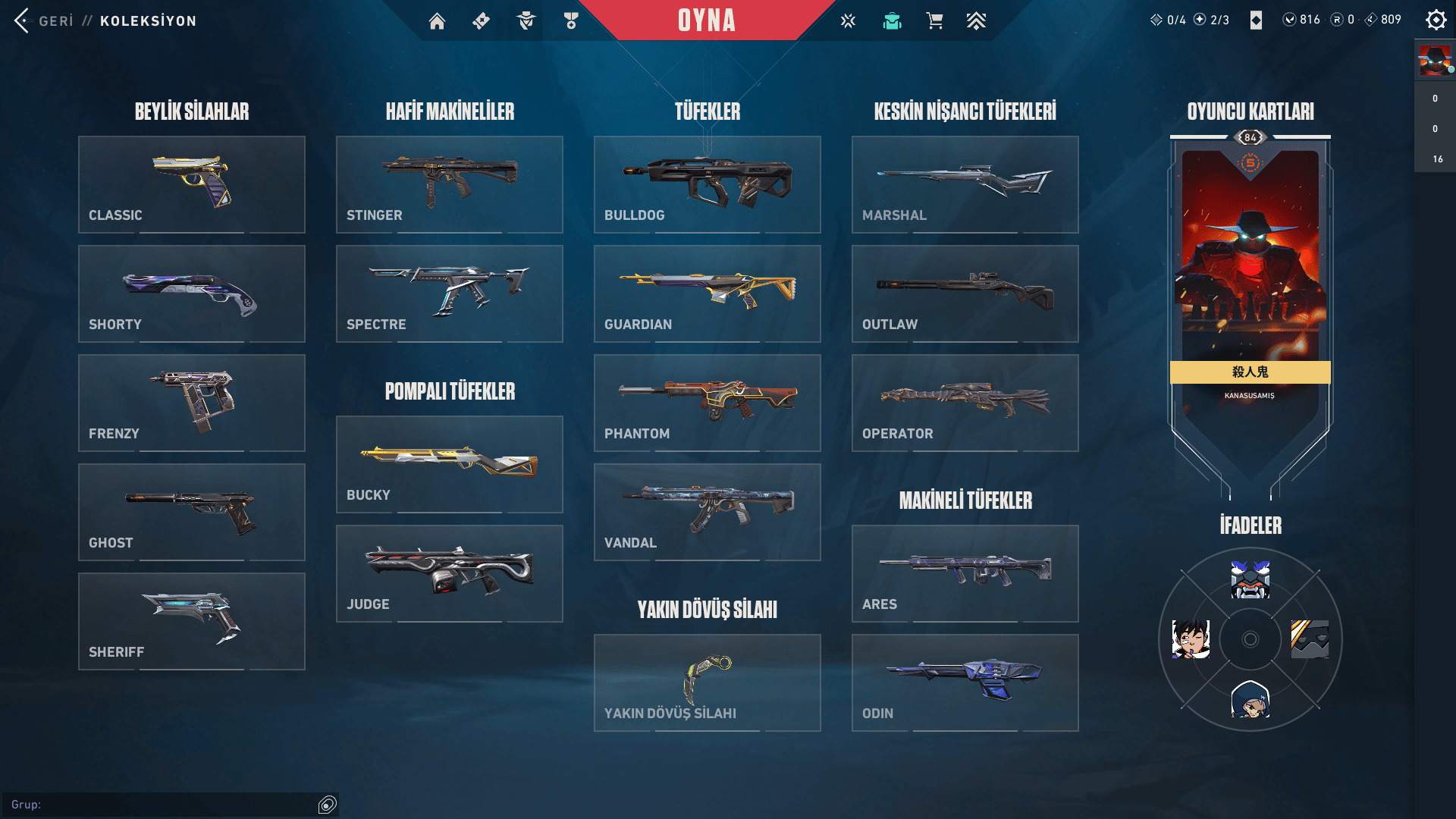 Valorant Full Premium Hesap | 114 Skin