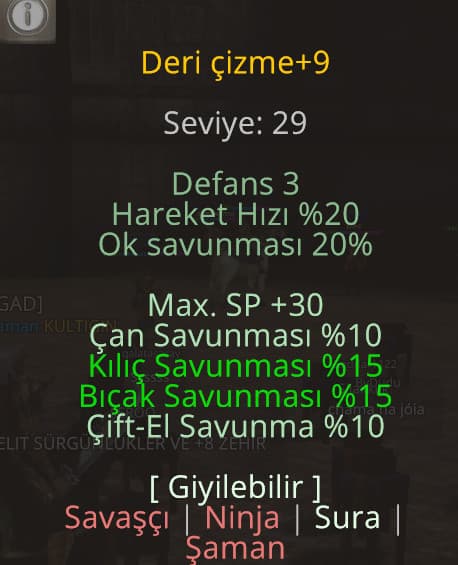 Elit wslik ayakkabı