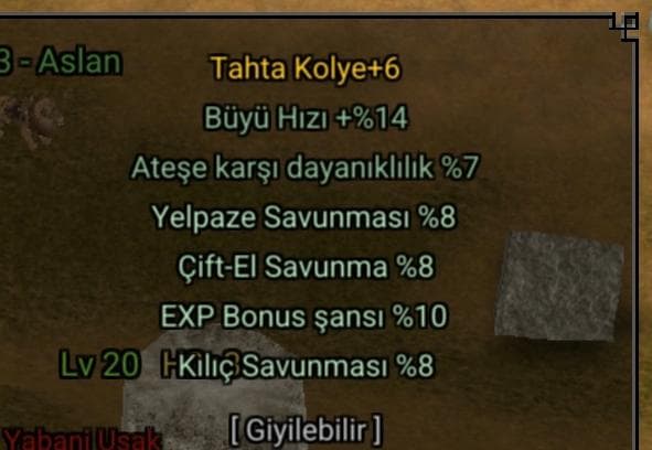 20 LVL BÜYÜLÜ SURA İTEMLİ