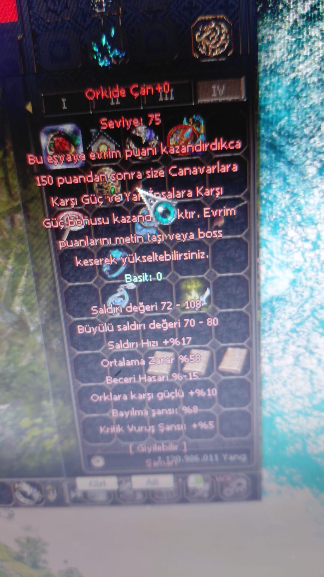 Orkide çan 58 ort 28 bec