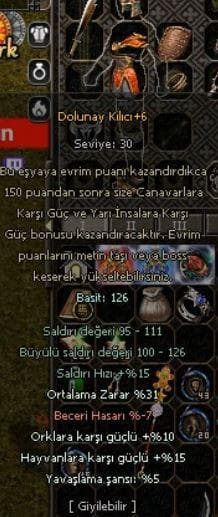 +6 31 ORT DOLU