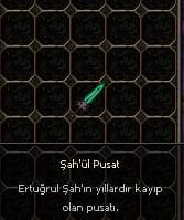 100 PUSATT