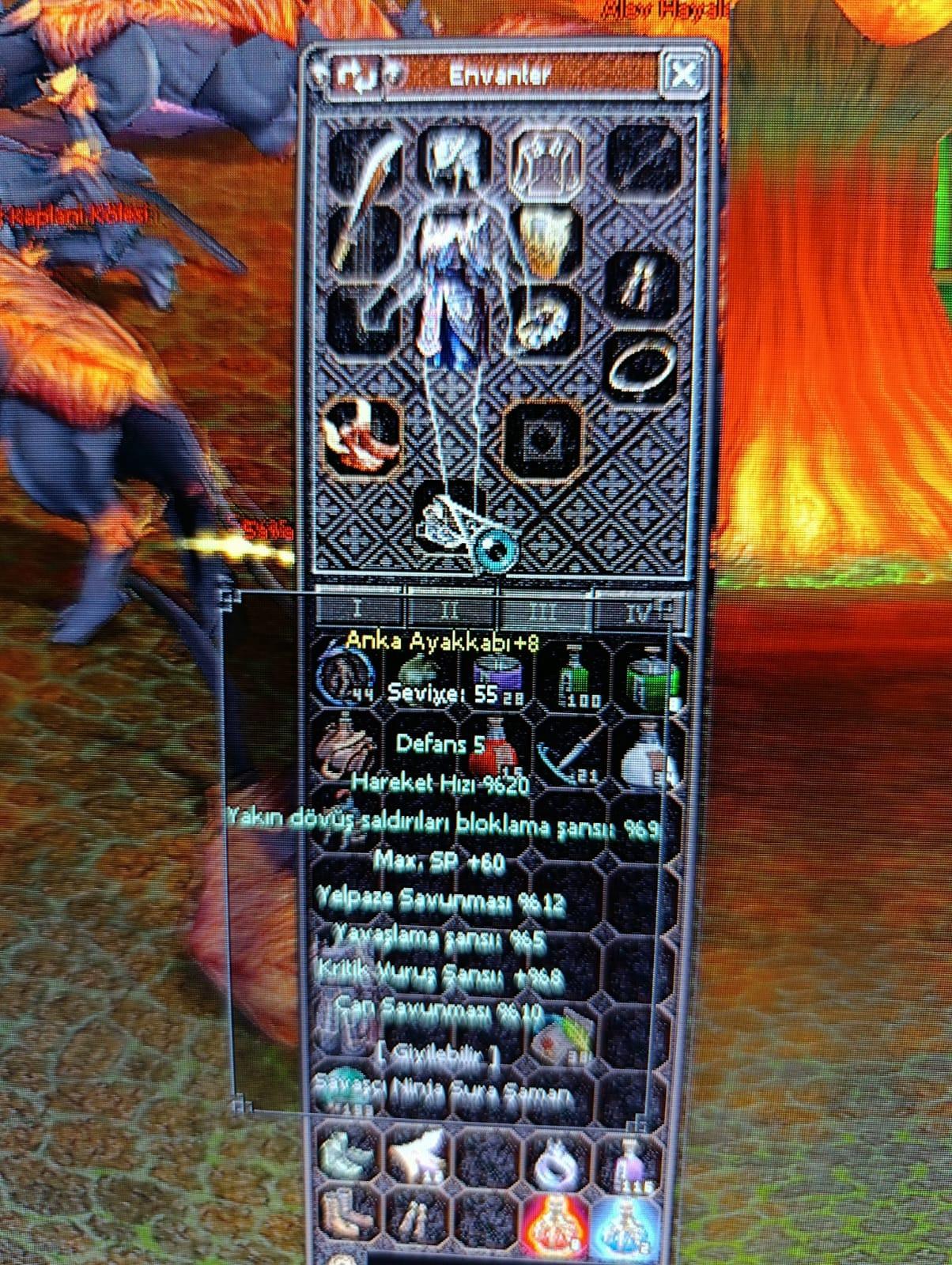 +8 Anka Papuç