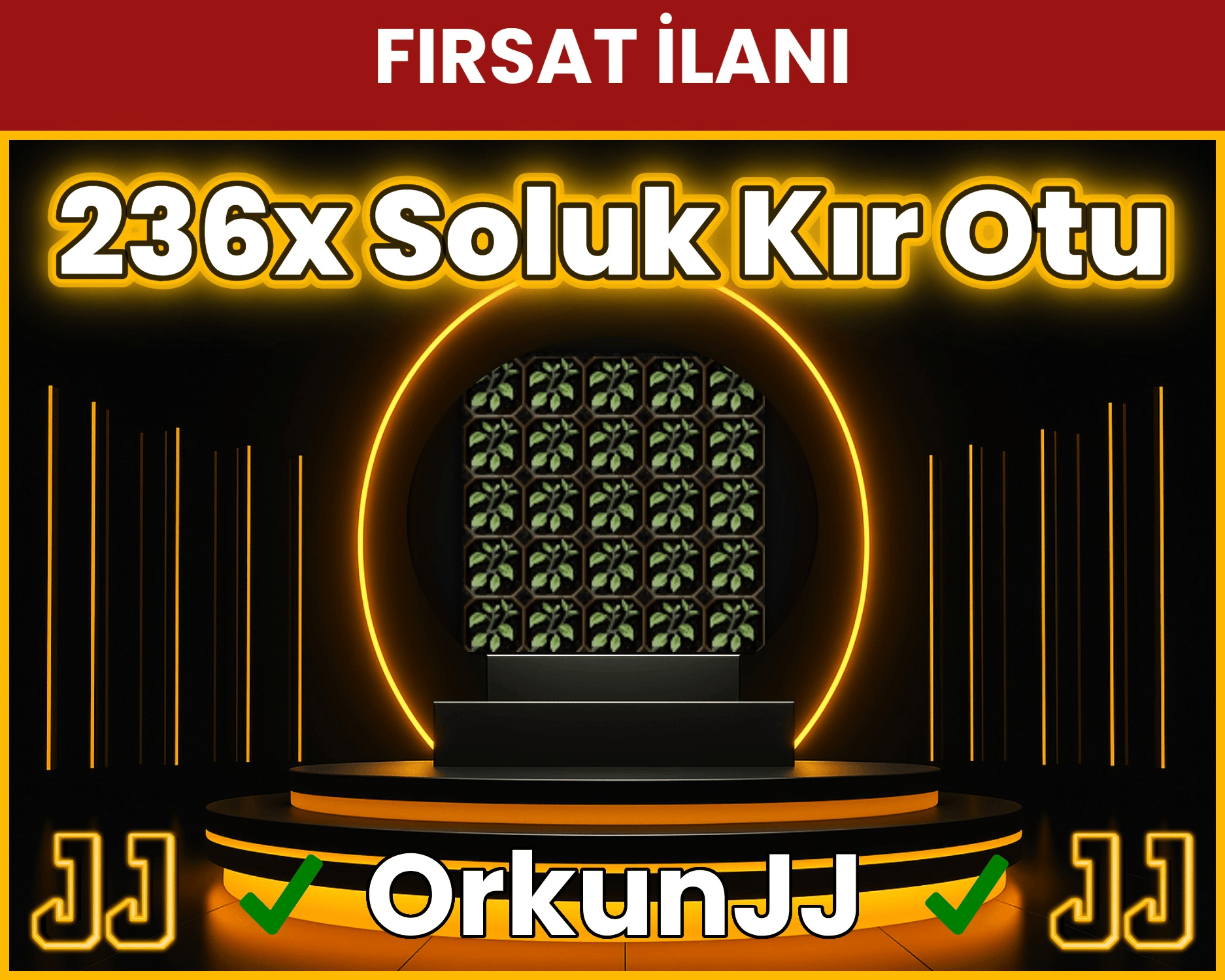 236x Soluk Kır Otu Anında Teslim