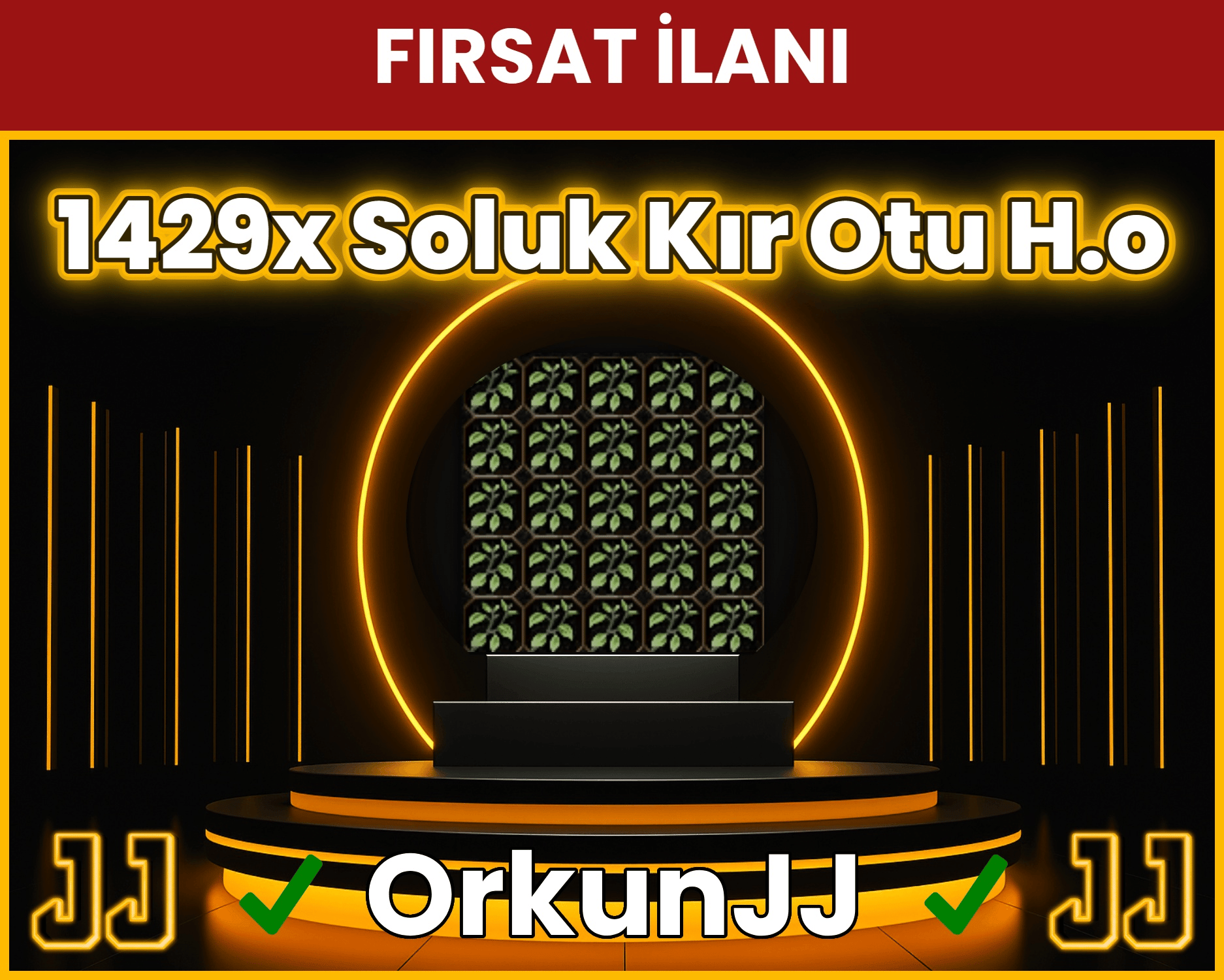 1429x Soluk Kır Otu Anında Teslim H.o