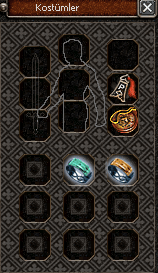 P6 YÜZÜK 23 LVL YANINDA PET , ASLAN 3 ADET RUH İTEMLERİ HEDİYE